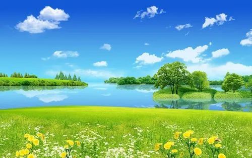 节能独特高质量